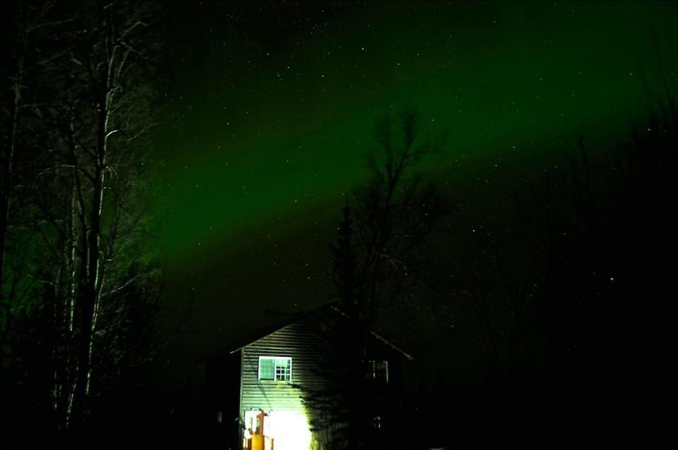 Grace And Bill'S Freedom Hills B&B Талкитна Екстериор снимка