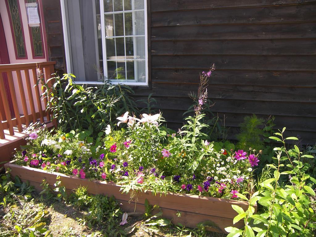 Grace And Bill'S Freedom Hills B&B Талкитна Екстериор снимка
