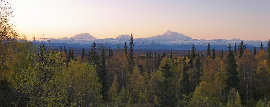 Grace And Bill'S Freedom Hills B&B Талкитна Екстериор снимка